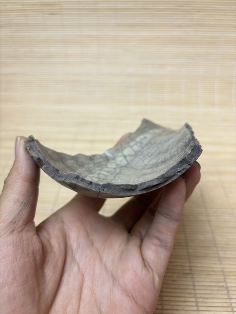 古玩陶瓷五大名窯之一哥窯【官】標本拍賣,當前價格200元