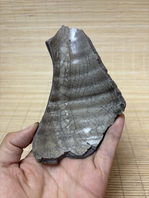 古玩陶瓷五大名窯之一哥窯【官】標本拍賣,當前價格200元