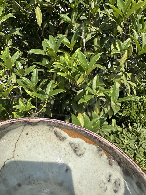 古玩陶瓷清 乾隆紅釉缽式爐拍賣,當前價格999元