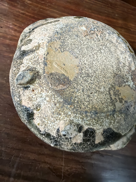古玩陶瓷早期青釉梟尊或水盂真品鑒賞圖