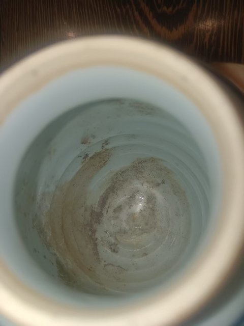 古玩陶瓷青花五彩獅子花卉紋罐真品鑒賞圖