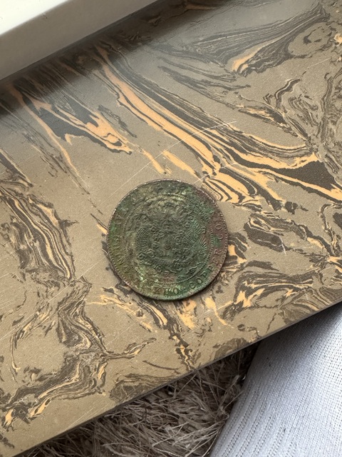 古玩錢幣大清銅幣己酉當制錢二十文銅元真品鑒賞圖