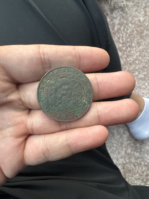 古玩錢幣大清銅幣己酉當制錢二十文銅元真品鑒賞圖