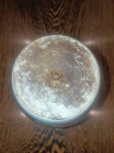 古玩陶瓷青花五彩獅子花卉紋罐真品鑒賞圖