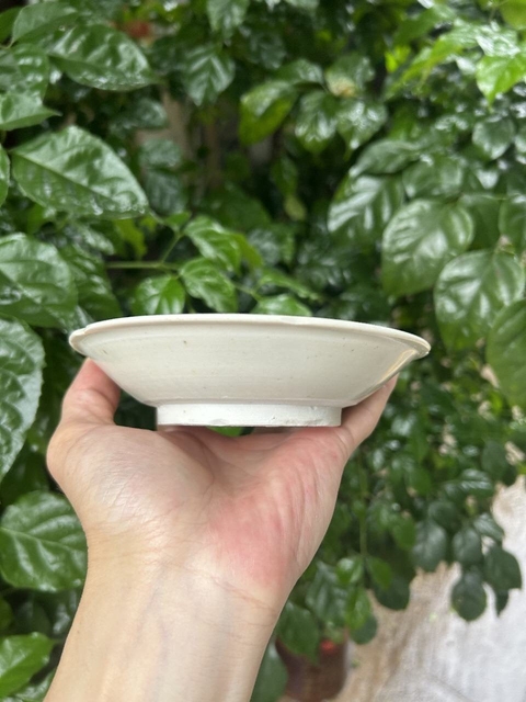 古玩陶瓷宣州白釉葵口盤真品鑒賞圖