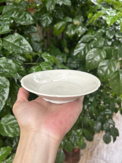 古玩陶瓷宣州白釉葵口盤真品鑒賞圖