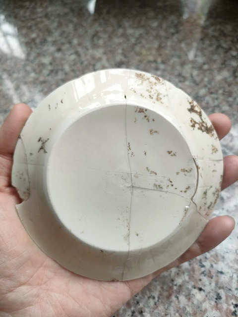 古玩陶瓷定窯白釉葵口洗拍賣,當前價格2200元