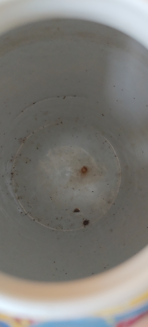 古玩陶瓷粉彩花鳥開窗博古圖罐真品鑒賞圖
