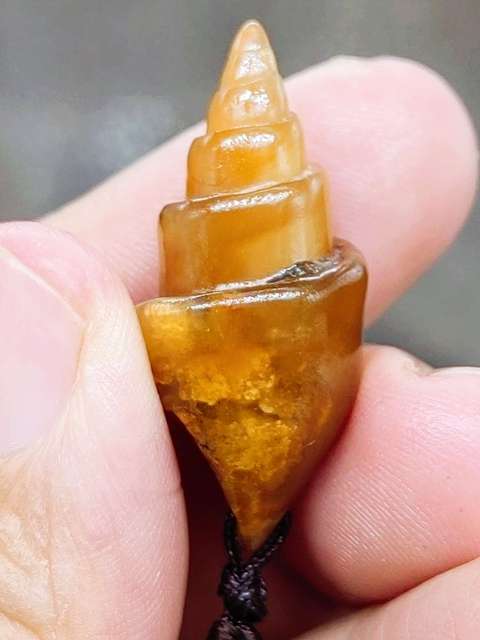 古玩雜項文化期.塔螺 化 石  (已經玉化)拍賣，當前價格199元