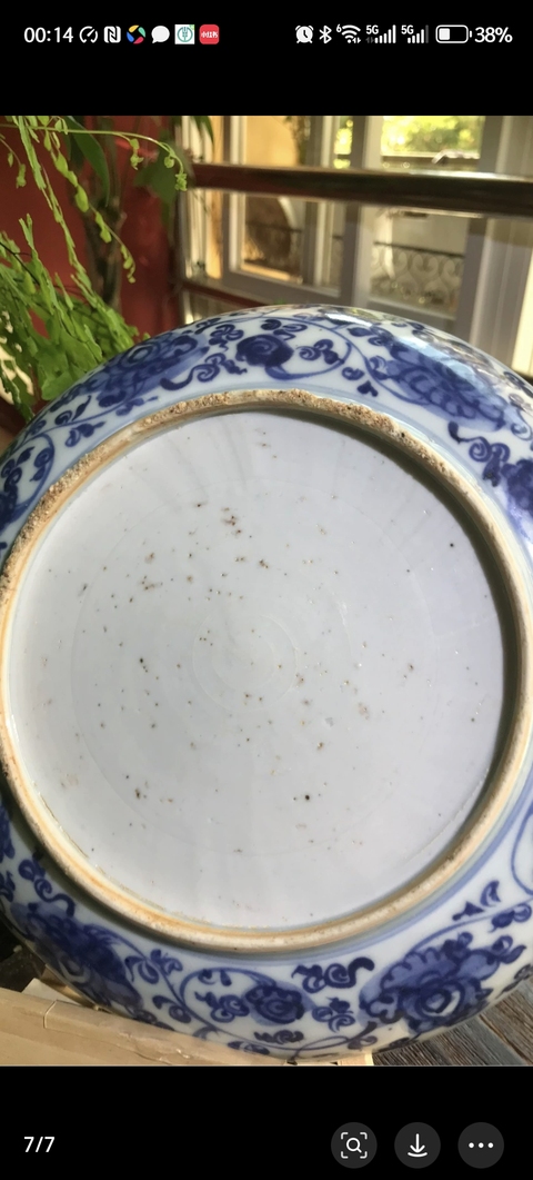 古玩陶瓷明成化孔雀牡丹圖青花盤真品鑒賞圖