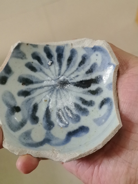 古玩陶瓷標(biāo)本真品鑒賞圖