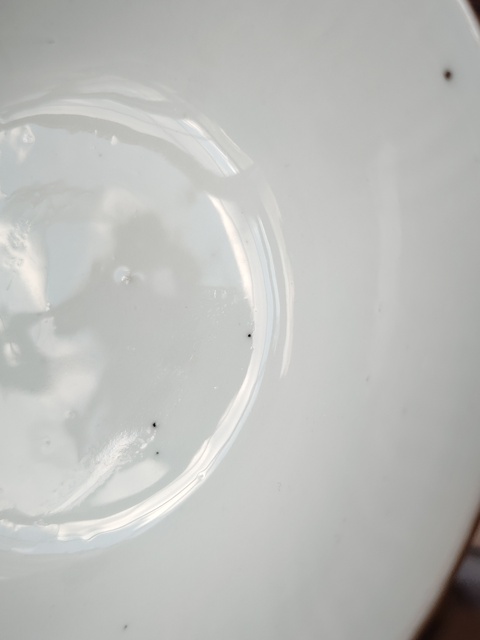 古玩陶瓷紫金釉開光彩繪花卉紋碗拍賣,當前價格99元