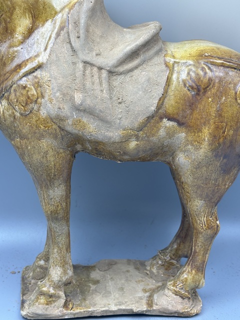 古玩陶瓷唐三彩馬真品鑒賞圖