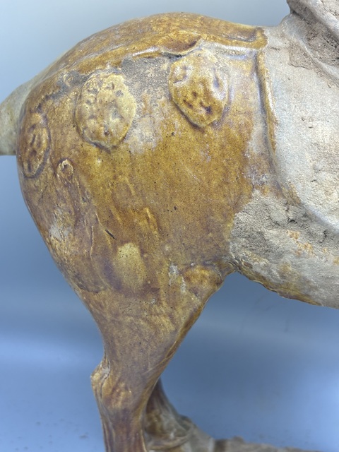 古玩陶瓷唐三彩馬真品鑒賞圖