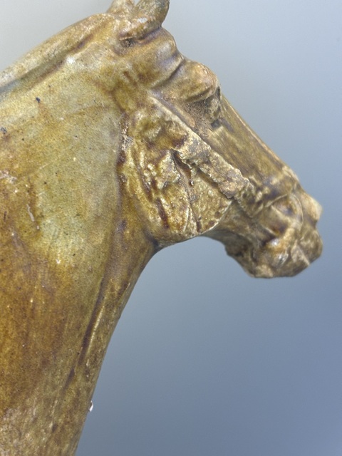 古玩陶瓷唐三彩馬真品鑒賞圖