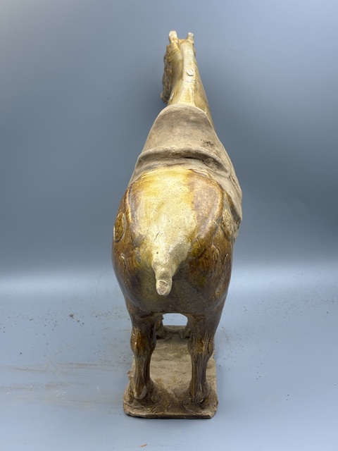 古玩陶瓷唐三彩馬真品鑒賞圖