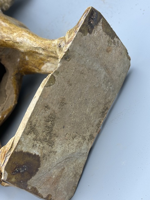 古玩陶瓷唐三彩馬真品鑒賞圖