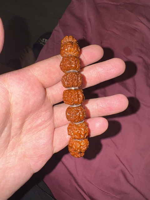 古玩雜項金剛菩提真品鑒賞圖