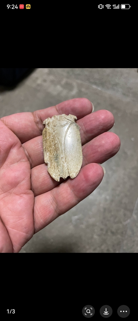 古玩玉器漢代玉蟬真品鑒賞圖