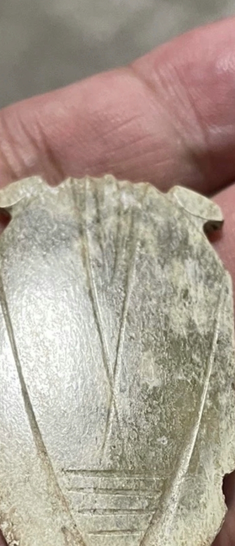 古玩玉器漢代玉蟬真品鑒賞圖