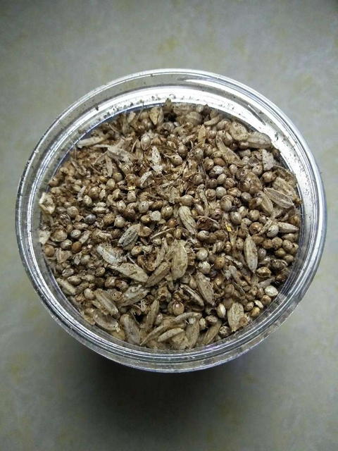 古玩陶瓷罕見漢代糧倉(cāng)出的鈣化五谷雜糧拍賣,當(dāng)前價(jià)格299元