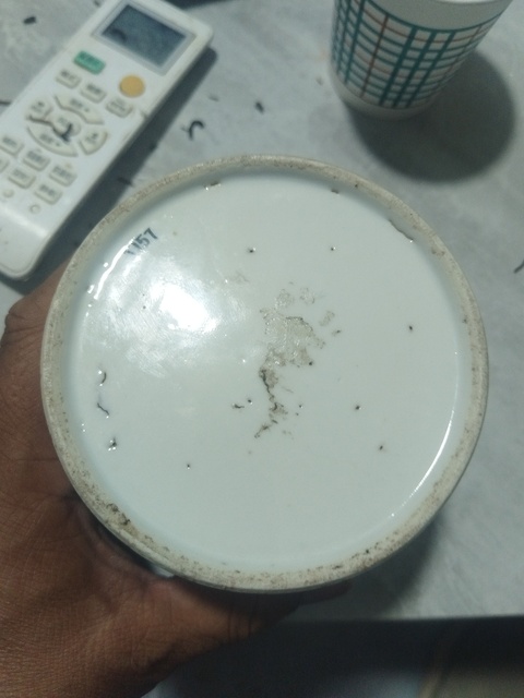 古玩陶瓷粉彩無雙譜蓋缸真品鑒賞圖