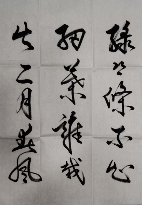 古玩字畫青海書協副主席李明亮書法拍賣,當前價格388元