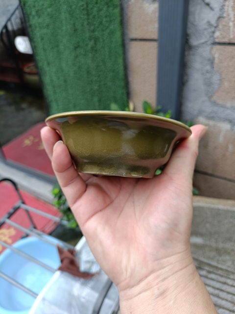 古玩陶瓷精品宋末元初龍泉青瓷鱔魚黃釉花卉折沿洗拍賣，當前價格1980元