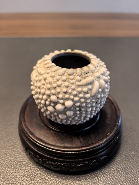 古玩陶瓷珍珠地水盂真品鑒賞圖