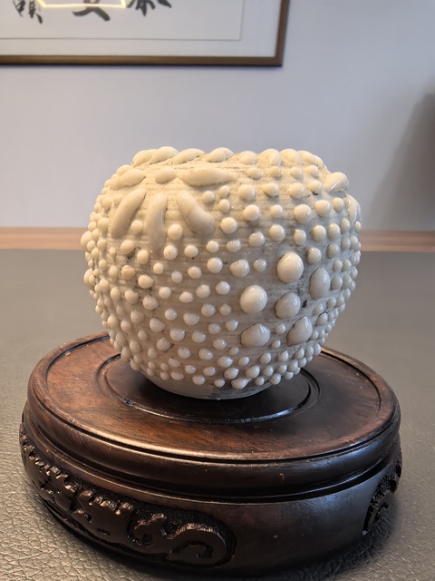 古玩陶瓷珍珠地水盂真品鑒賞圖
