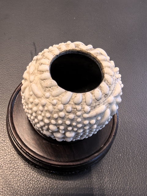 古玩陶瓷珍珠地水盂真品鑒賞圖