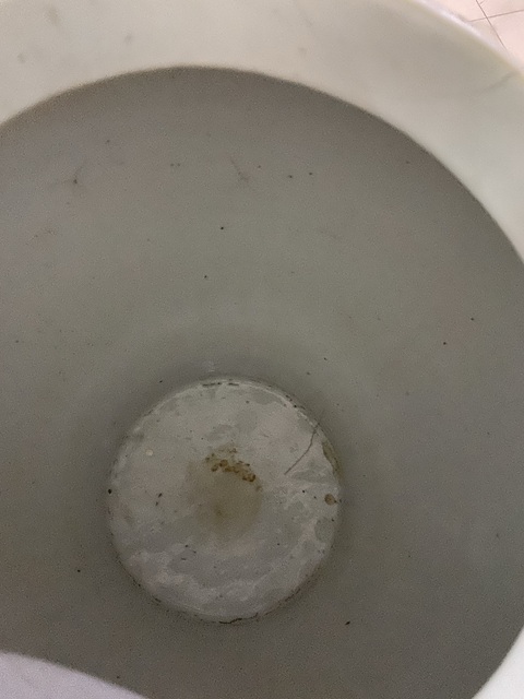 古玩陶瓷粉彩滿(mǎn)花卉紋將軍罐真品鑒賞圖