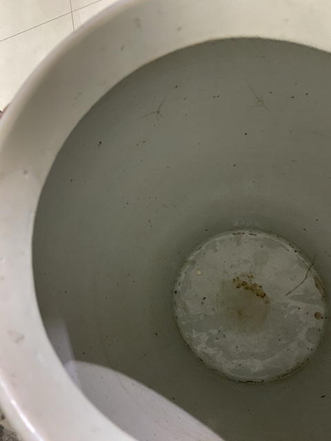 古玩陶瓷粉彩滿(mǎn)花卉紋將軍罐真品鑒賞圖