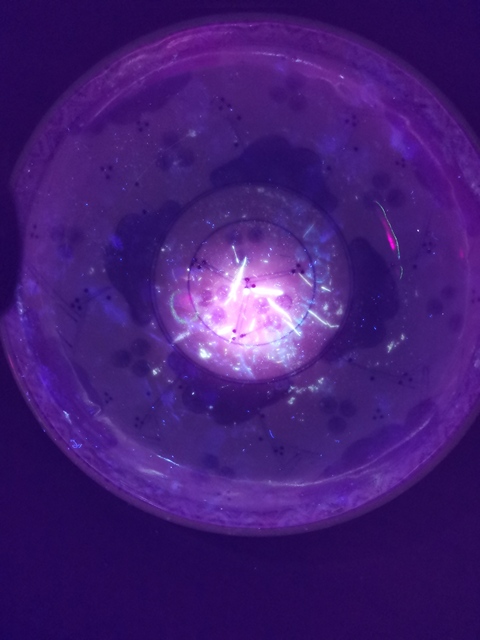 古玩陶瓷青花碗真品鑒賞圖