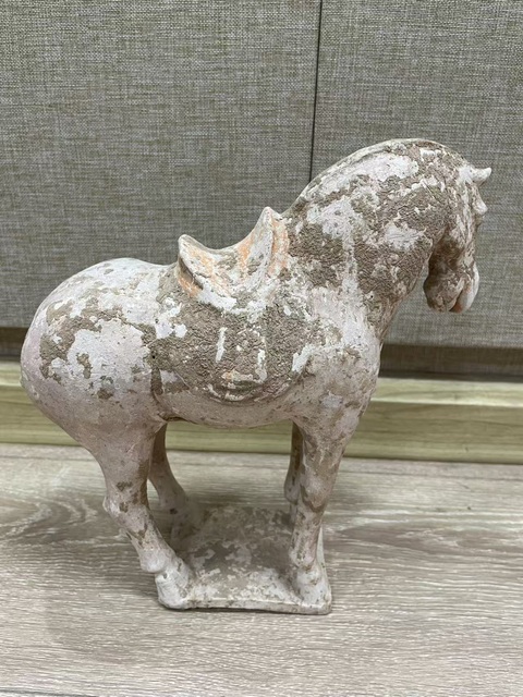 古玩陶瓷唐代·陶馬真品鑒賞圖