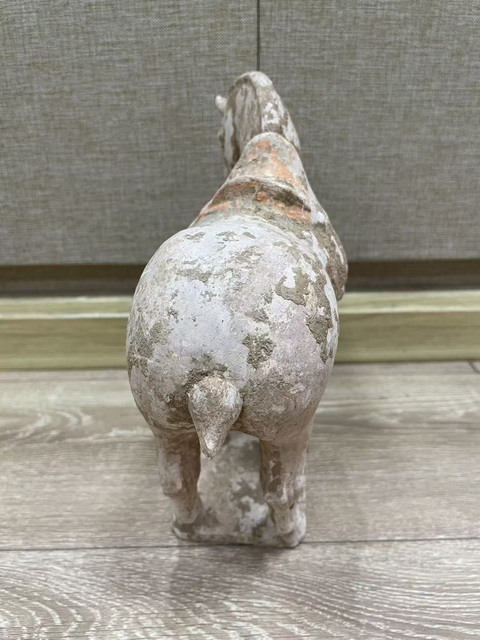 古玩陶瓷唐代·陶馬真品鑒賞圖