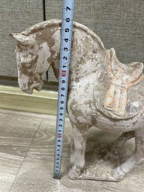 古玩陶瓷唐代·陶馬真品鑒賞圖