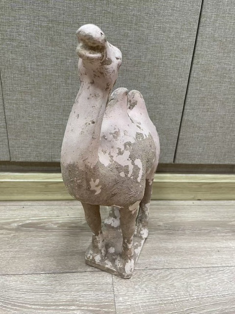 古玩陶瓷唐·駱駝?wù)嫫疯b賞圖
