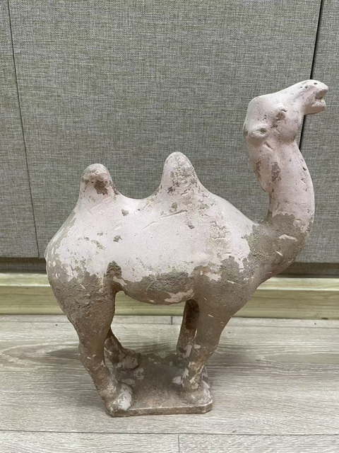 古玩陶瓷唐·駱駝?wù)嫫疯b賞圖