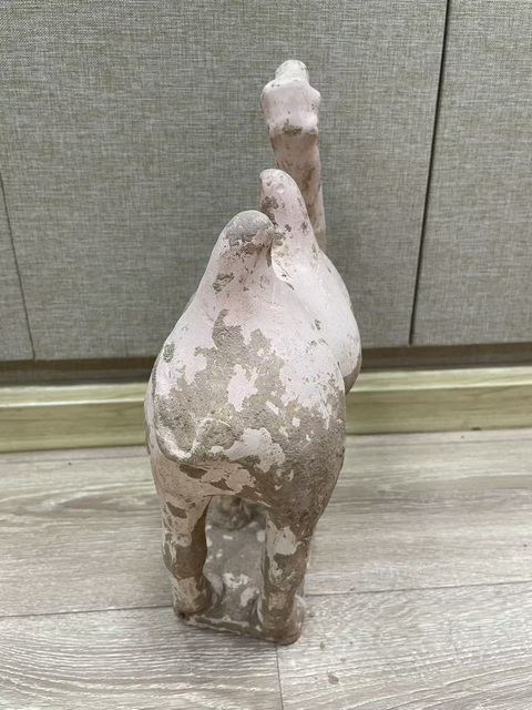 古玩陶瓷唐·駱駝?wù)嫫疯b賞圖