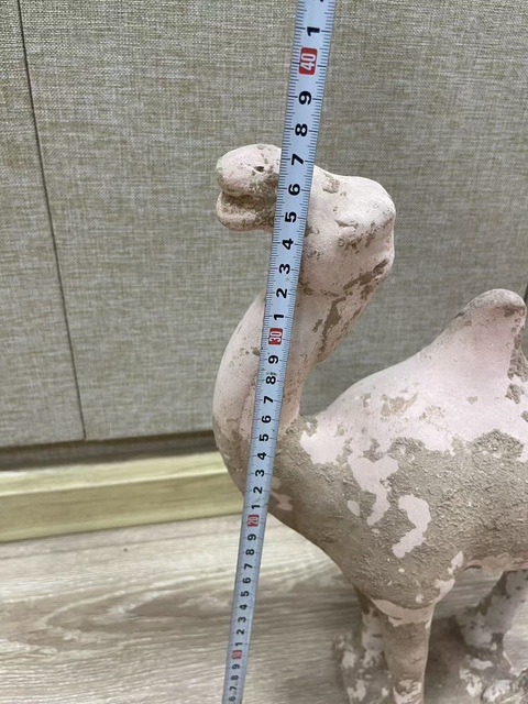 古玩陶瓷唐·駱駝?wù)嫫疯b賞圖