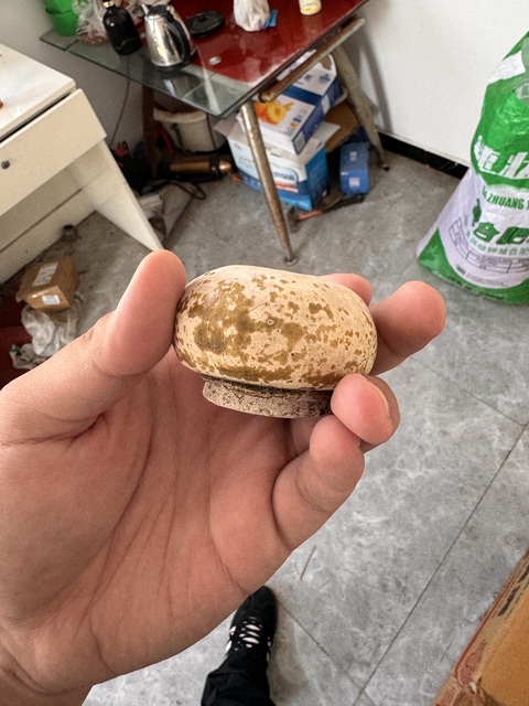古玩陶瓷唐代黃釉水盂真品鑒賞圖