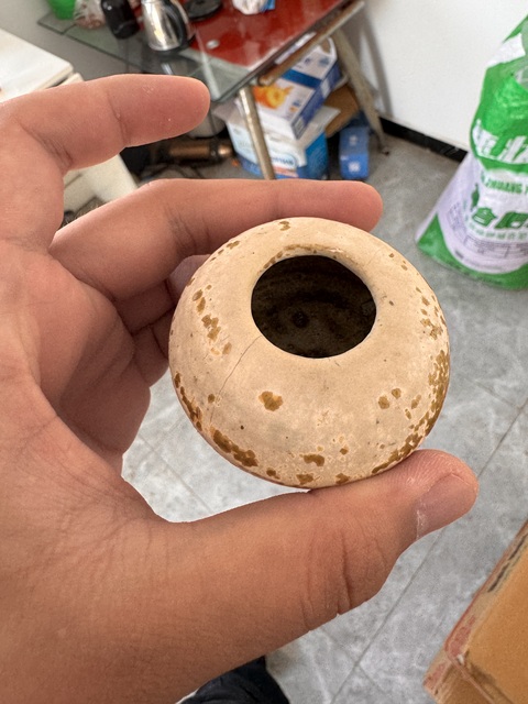 古玩陶瓷唐代黃釉水盂真品鑒賞圖