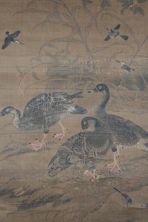古玩字畫呂紀款工筆花鳥立軸真品鑒賞圖