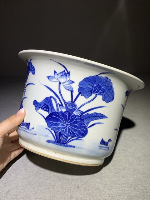 古玩陶瓷蓮池游禽滿池嬌青花花盆真品鑒賞圖