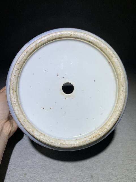古玩陶瓷蓮池游禽滿池嬌青花花盆真品鑒賞圖