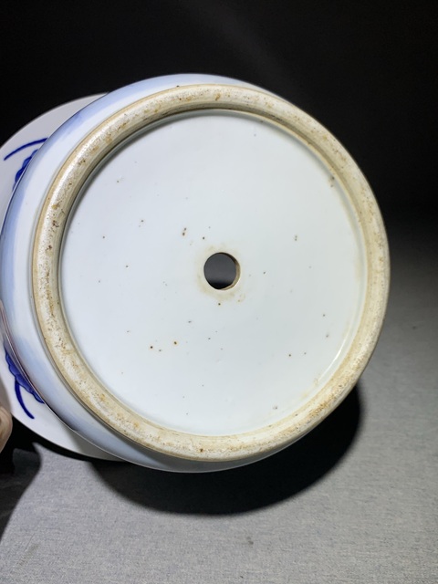 古玩陶瓷蓮池游禽滿池嬌青花花盆真品鑒賞圖