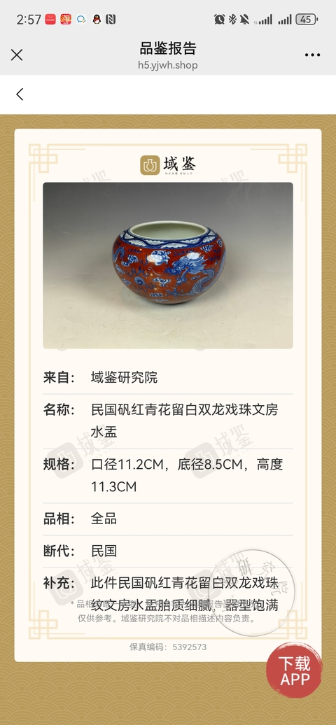 古玩陶瓷珊瑚紅青花龍紋水洗真品鑒賞圖