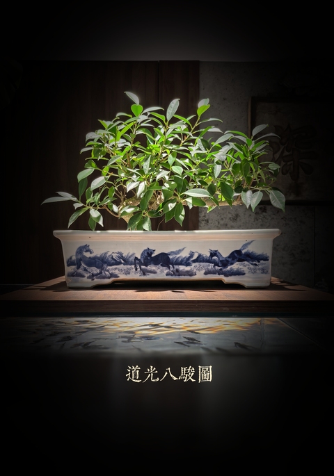 域鉴古玩】道光青花八骏图四方花盆拍卖价格/图片/值多少钱