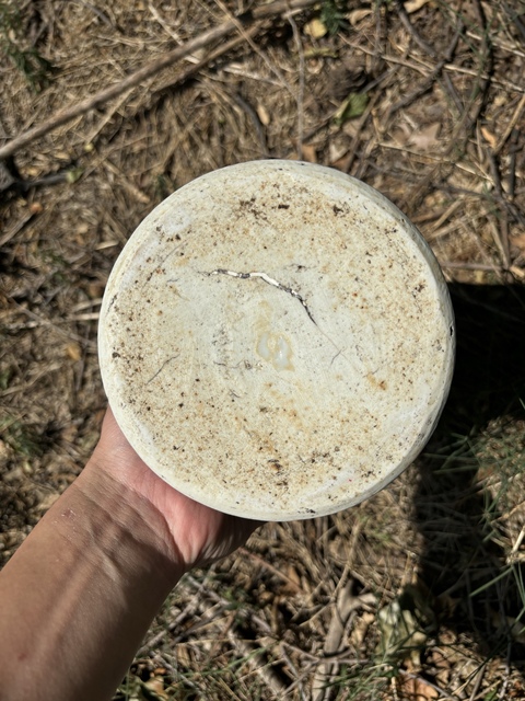 古玩陶瓷明末清初順治青花山水高士圖大花觚拍賣,當前價格26800元